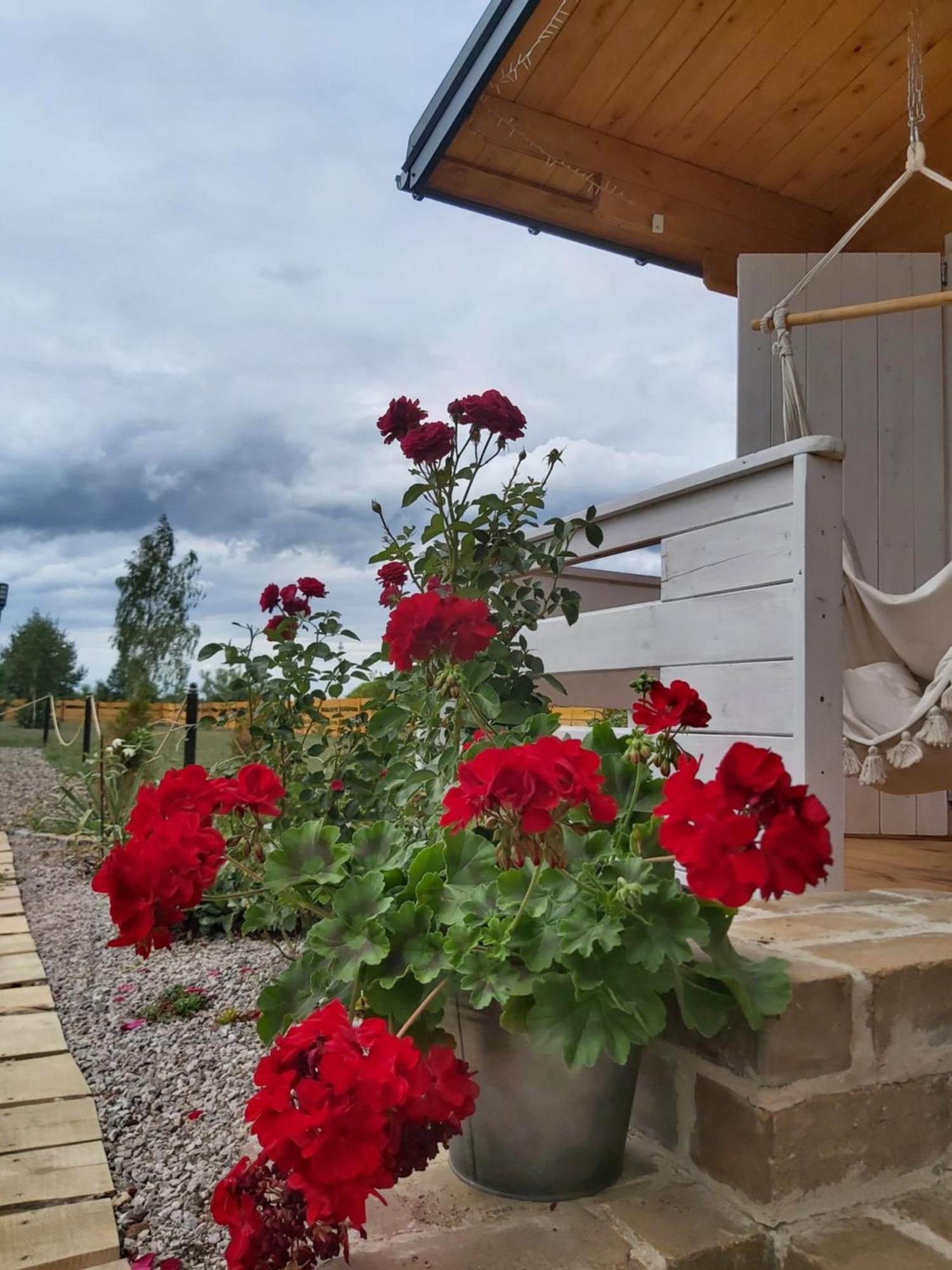 Holiday home Drewniany Zakatek Z Sauna I Jacuzzi *