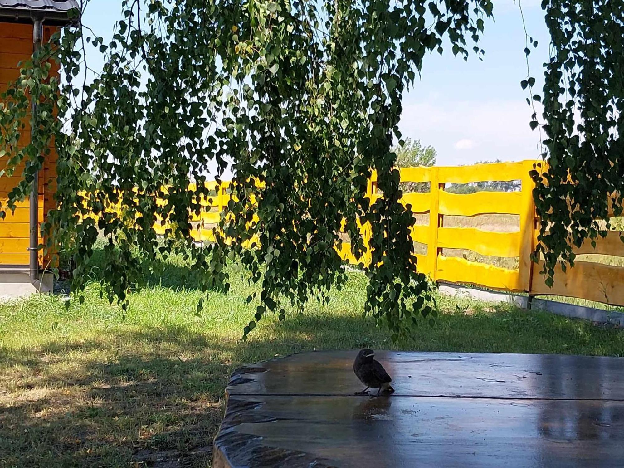 Holiday home Drewniany Zakatek Z Sauna I Jacuzzi *